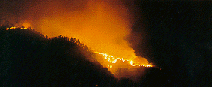 incendio.gif (13579 byte)