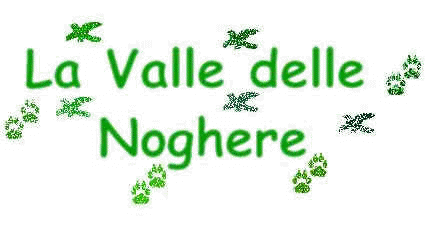 19KB-logo: La Valle delle Noghere