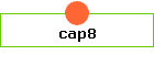 cap8