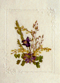 Immagine di una cartolina realizzata con i fiori secchi