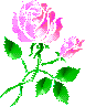 Immagine di una rosa realizzata con lo stencil