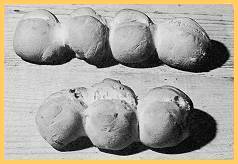 pane di Servola