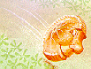 torta.gif (10289 byte)