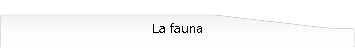 La fauna