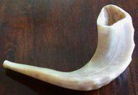 Lo Shofar