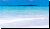 beach_baby.jpg (3844 bytes)
