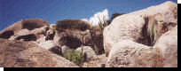 casibari.jpg (181736 bytes)