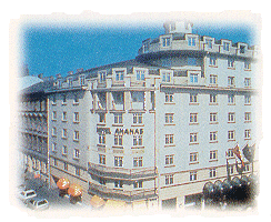 immagine dell'hotel Ananas